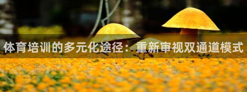 极悦平台官方网站下载：体育培训的多元化途径：重新审视