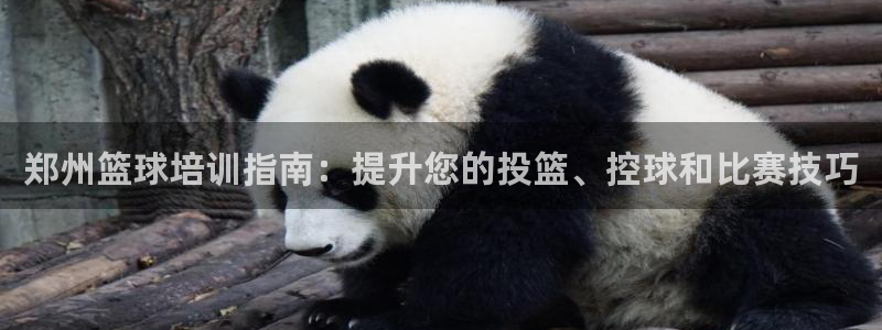 极悦娱乐官网入口网站：郑州篮球培训指南：提升您的投篮