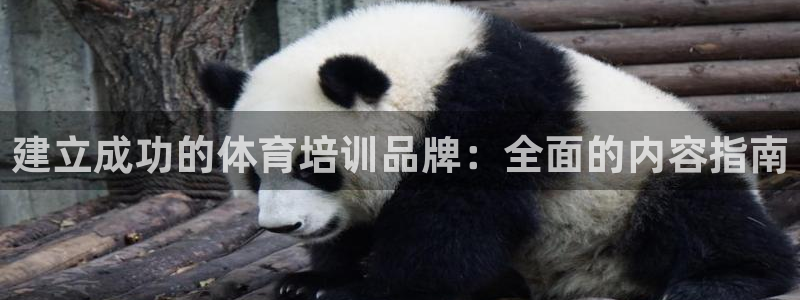 极悦平台注册的弊端及解决方法：建立成功的体育培训品牌