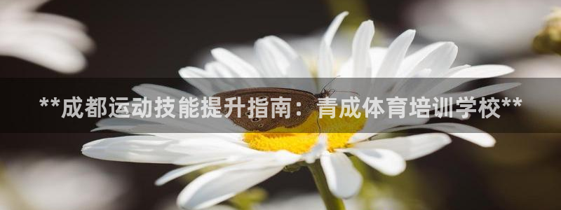 极悦平台登录7.0.2.4手机版下载：**成都运动技