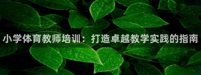 极悦官网注册最新版本更新内容在哪：小学体育教师培训：
