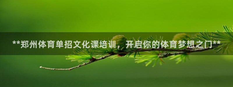 极悦平台注册和登录页面在哪：**郑州体育单招文化课培