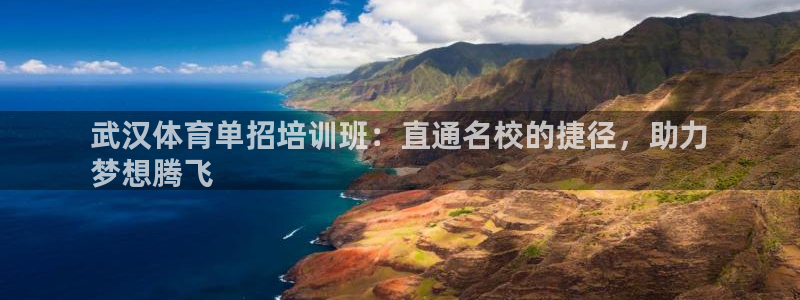 极悦娱乐官网最新版本更新内容：武汉体育单招培训班：直
