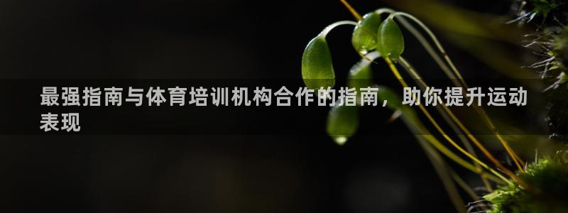 极悦平台官方网站入口链接下载：最强指南与体育培训机构