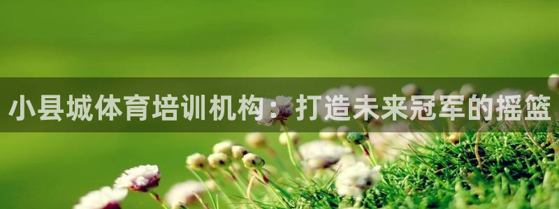 极悦平台是干嘛的：小县城体育培训机构：打造未来冠军的