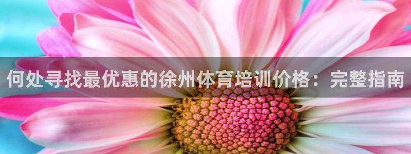 极悦平台客服团队：何处寻找最优惠的徐州体育培训价格：
