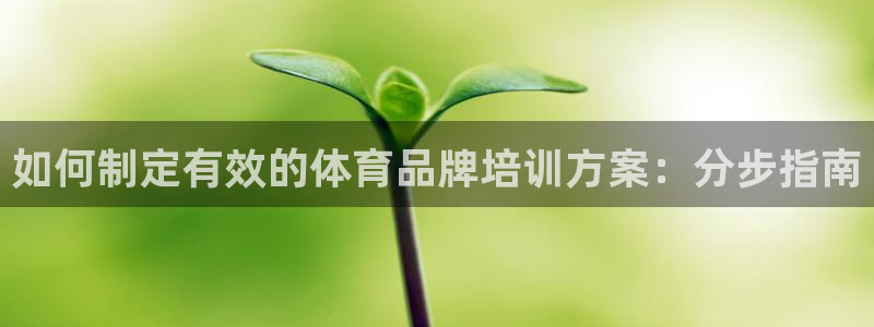 极悦平台代理怎么样：如何制定有效的体育品牌培训方案：