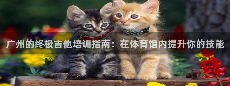 无锡极悦科技有限公司：广州的终极吉他培训指南：在体育