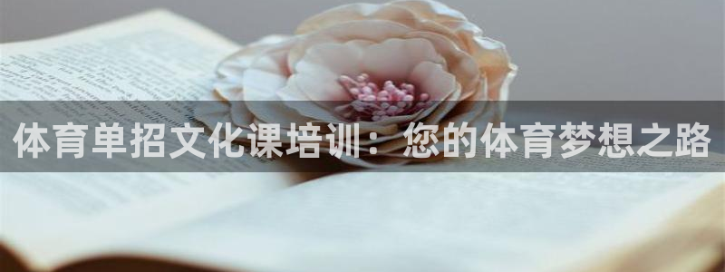 极悦娱乐代理多少钱一年：体育单招文化课培训：您的体育