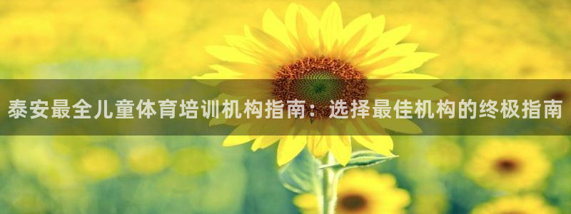 极悦官网登录入口网址：泰安最全儿童体育培训机构指南：