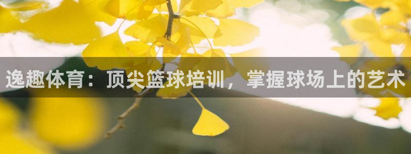 极悦平台官网登录最新版本更新内容介绍：逸趣体育：顶尖