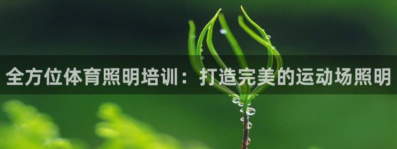 极悦官方网站入口网址是多少：全方位体育照明培训：打造