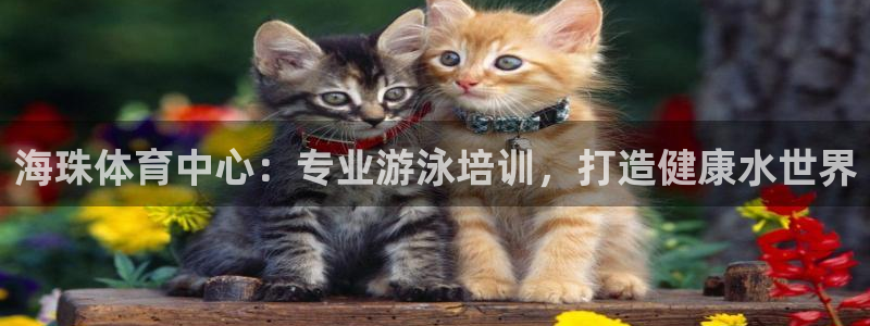 极悦平台创始人背景故事是什么：海珠体育中心：专业游泳