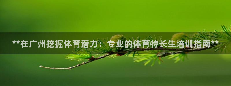 极悦平台有风险吗安全吗：**在广州挖掘体育潜力：专业