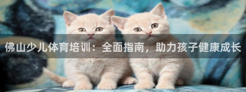 极悦娱乐下载安装手机版：佛山少儿体育培训：全面指南，