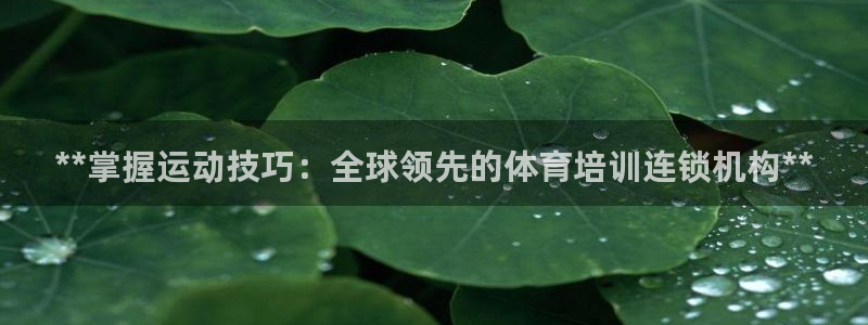 极悦平台是干什么的：**掌握运动技巧：全球领先的体育