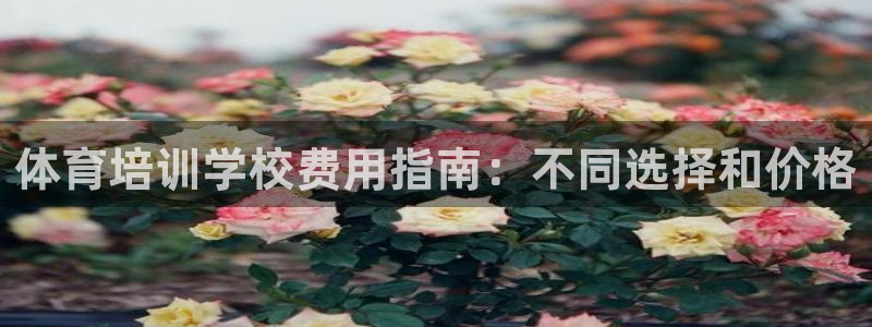 极悦平台下载安装：体育培训学校费用指南：不同选择和价