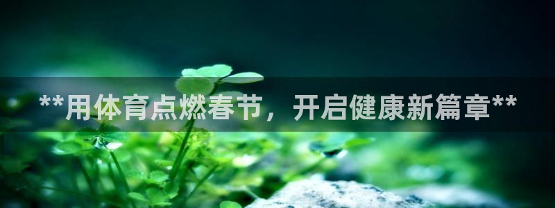 极悦平台注册用户名验证失败：**用体育点燃春节，开启