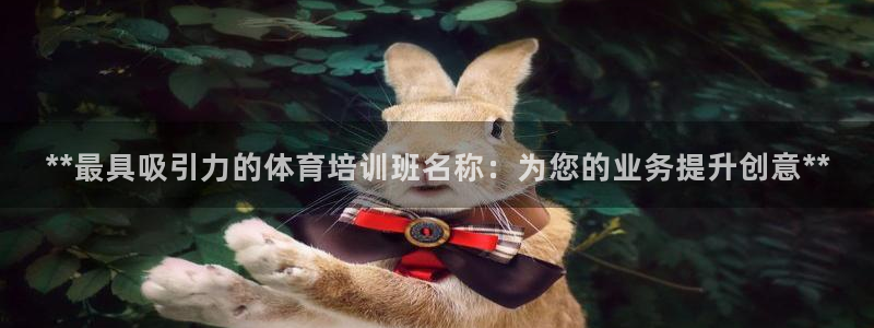 极悦娱乐的背景和历史背景：**最具吸引力的体育培训班
