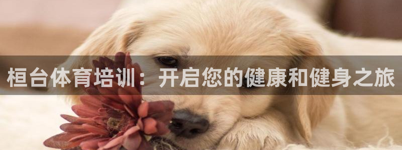 极悦官网的登录方法：桓台体育培训：开启您的健康和健身