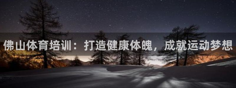 极悦平台使用注意事项：佛山体育培训：打造健康体魄，成