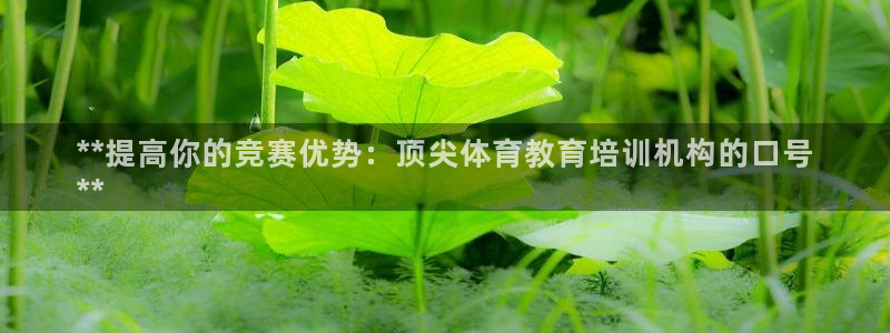极悦平台官网登录入口下载：**提高你的竞赛优势：顶尖