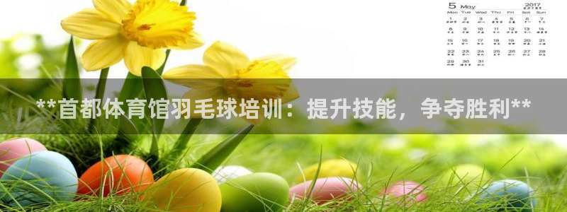 极悦平台股东是谁：**首都体育馆羽毛球培训：提升技能