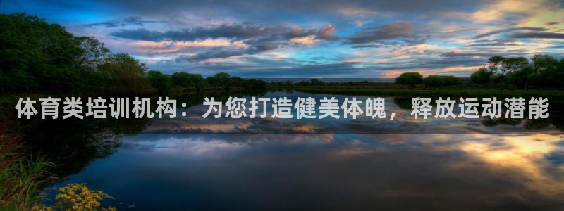 极悦平台用户反馈和反馈一样吗：体育类培训机构：为您打