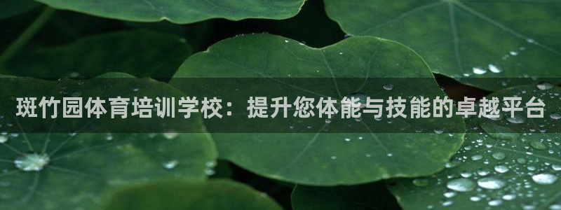 极悦娱乐会被骗吗：斑竹园体育培训学校：提升您体能与技