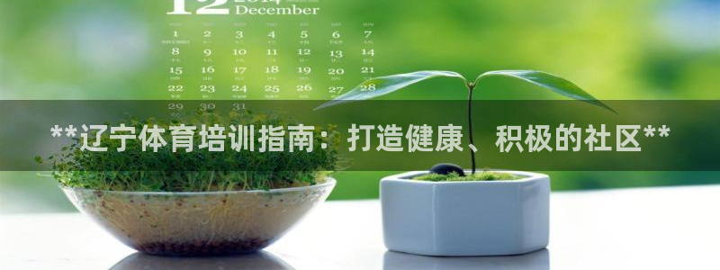 极悦娱乐成7O777：**辽宁体育培训指南：打造健康