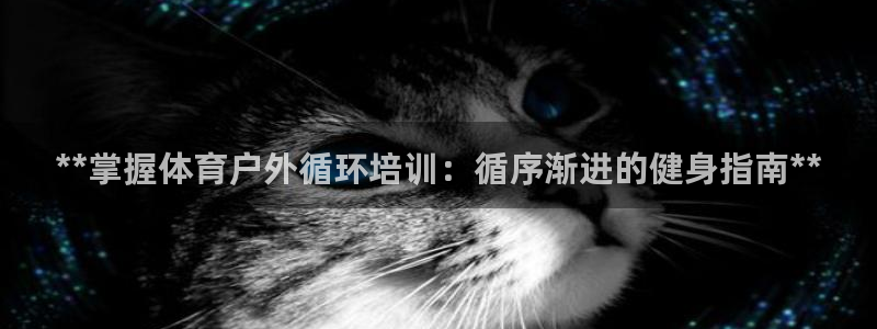 极悦官网首页：**掌握体育户外循环培训：循序渐进的健
