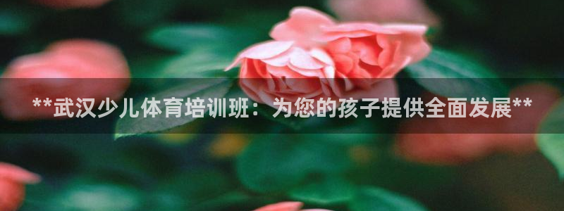 极悦娱乐分7O777：**武汉少儿体育培训班：为您的