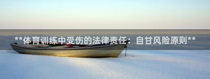 极悦平台客服团队：**体育训练中受伤的法律责任：自甘