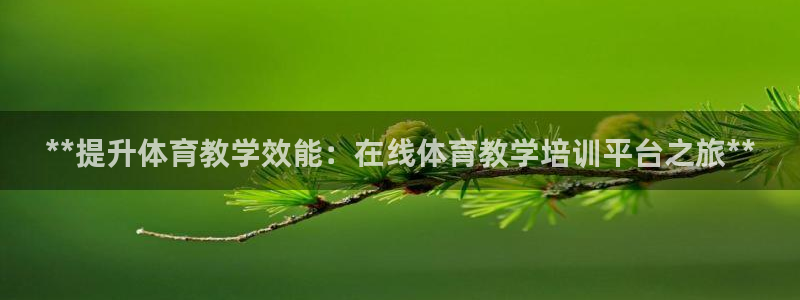 极悦平台客服团队名称：**提升体育教学效能：在线体育