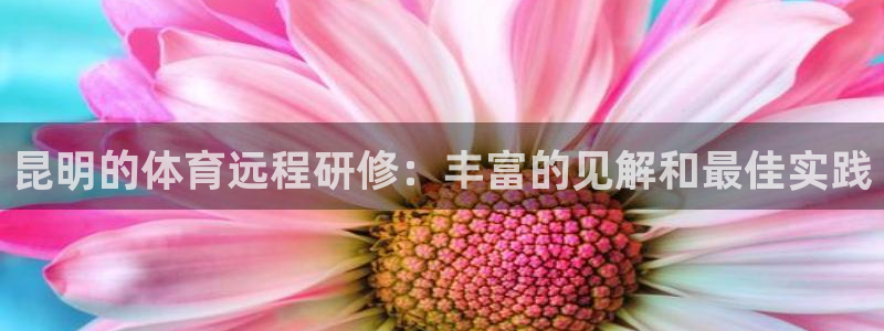 极悦平台注册申请流程详解：昆明的体育远程研修：丰富的