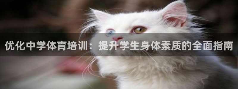 极悦平台看7O777：优化中学体育培训：提升学生身体