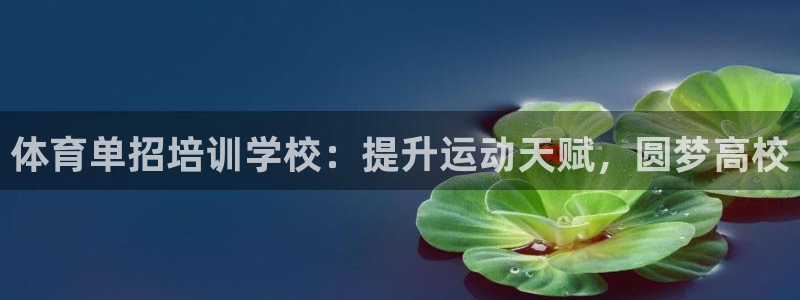 极悦平台用户评价：体育单招培训学校：提升运动天赋，圆