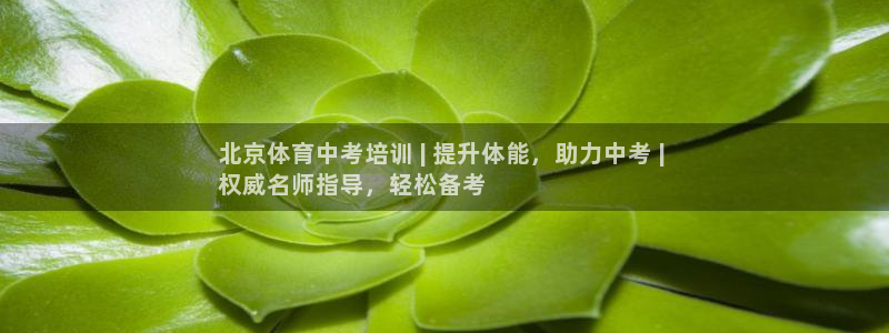极悦平台app二维码怎么弄出来：北京体育中考培训 |