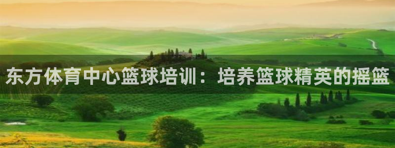 极悦平台官网登录网址：东方体育中心篮球培训：培养篮球精英的摇