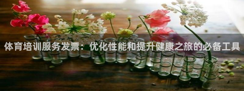 极悦娱乐：体育培训服务发票：优化性能和提升健康之旅的