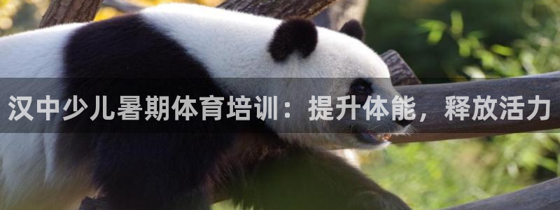 极悦平台官方网站登录入口：汉中少儿暑期体育培训：提升体能，释