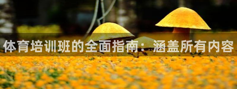 极悦平台登录方式：体育培训班的全面指南：涵盖所有内容