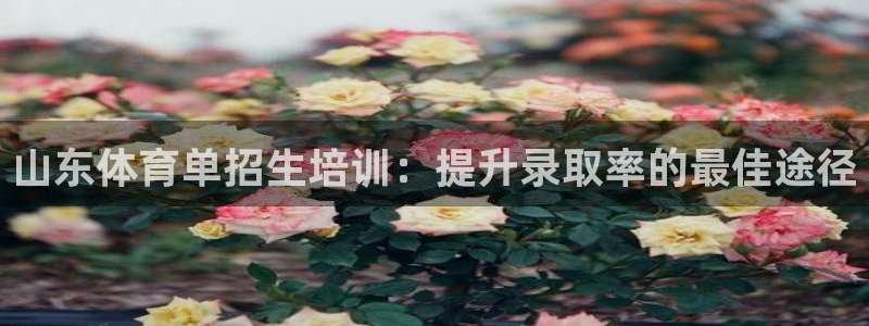 极悦平台注册资金多少亿：山东体育单招生培训：提升录取率的最佳