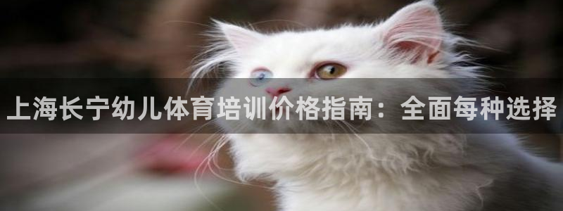 极悦平台注册的弊端及解决方法：上海长宁幼儿体育培训价