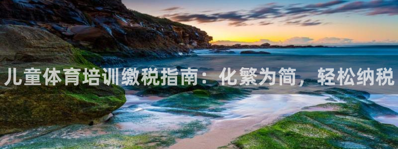 极悦平台官方网站入口：儿童体育培训缴税指南：化繁为简，轻松纳