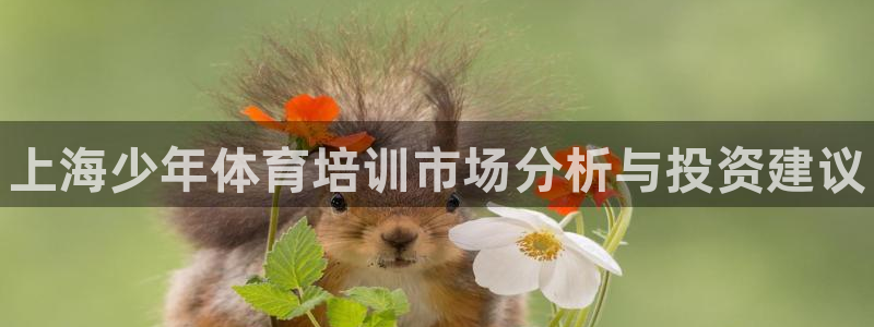 极悦平台客服团队：上海少年体育培训市场分析与投资建议