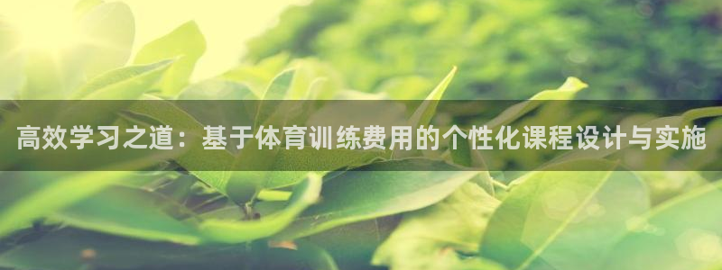 极悦平台使用注意事项：高效学习之道：基于体育训练费用