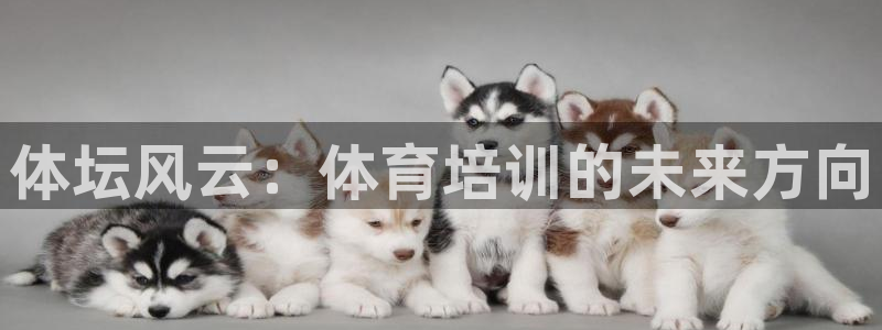 极悦平台安全吗可信吗：体坛风云：体育培训的未来方向