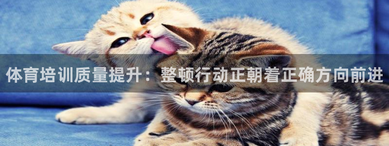 极悦平台官网下载中心：体育培训质量提升：整顿行动正朝着正确方