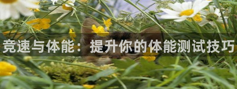 极悦娱乐下载安装手机版